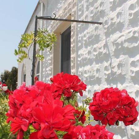 B&B Stella Marina Manfredonia Kültér fotó