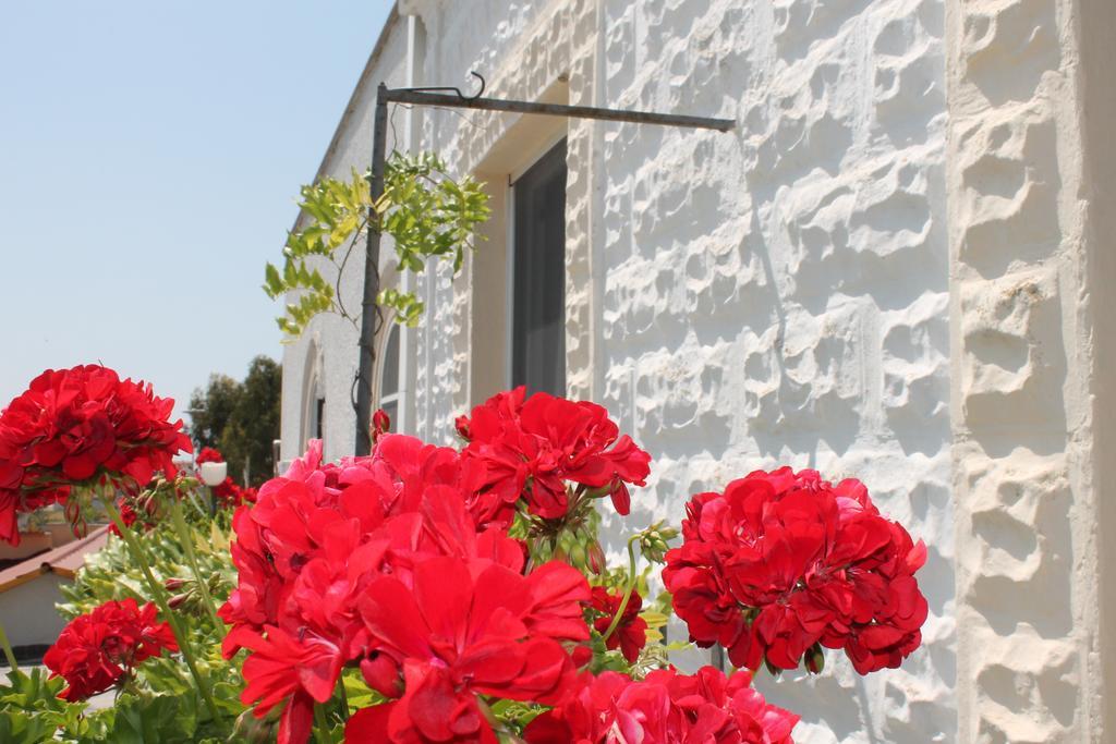 B&B Stella Marina Manfredonia Kültér fotó